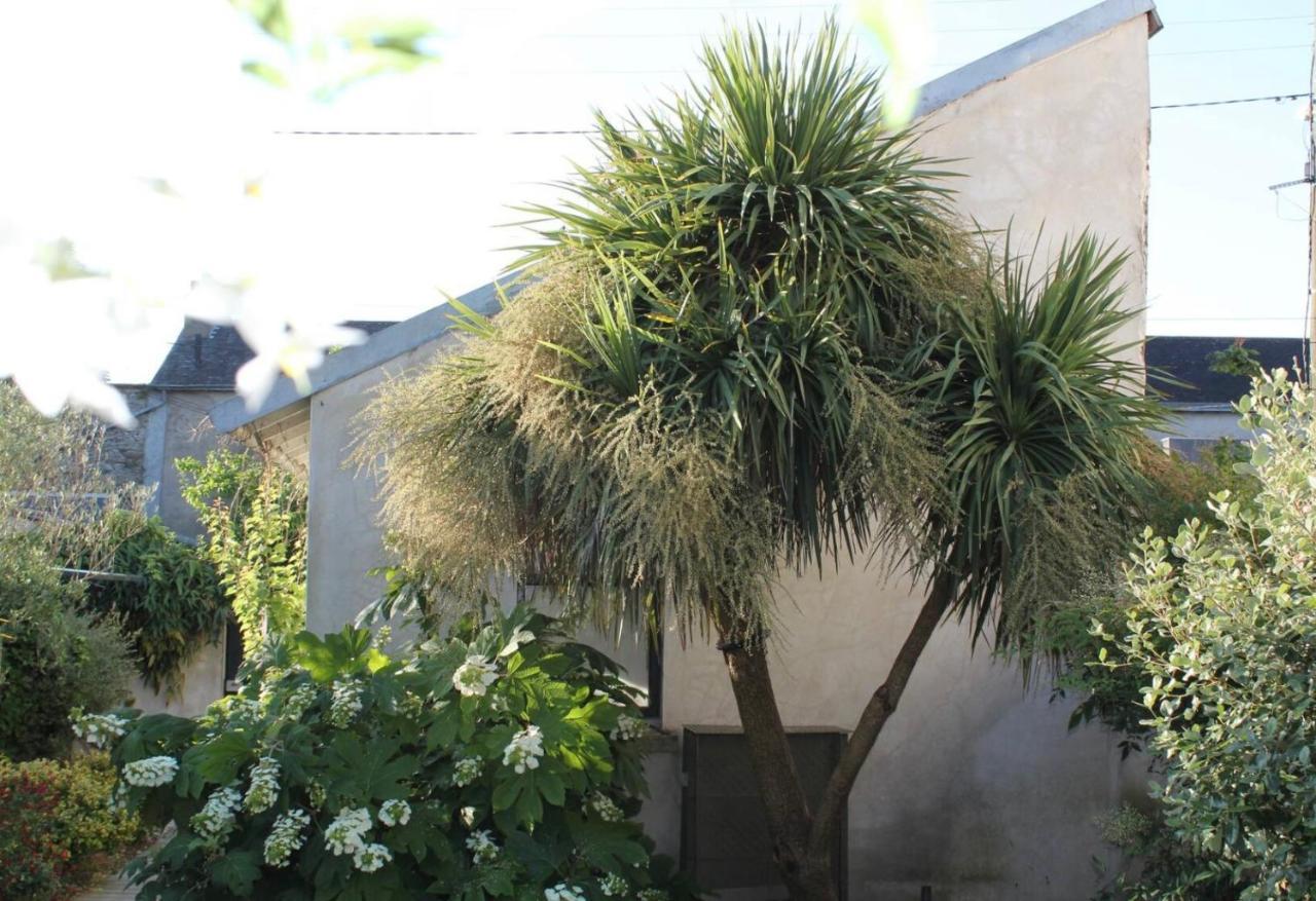 Duplex Confort Et Jardin Charmant Nantes Exterior foto